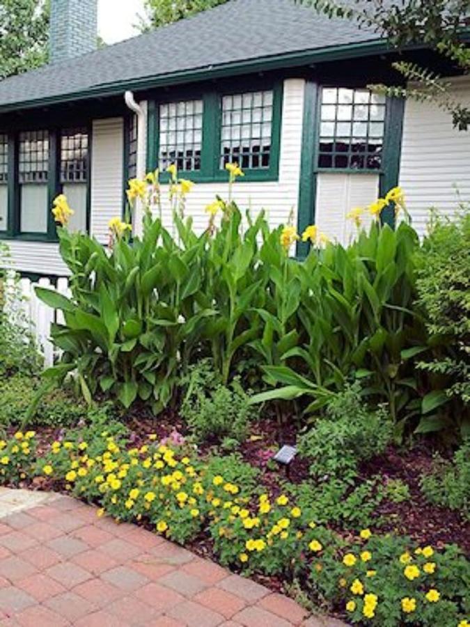 Bed and breakfast Gardens