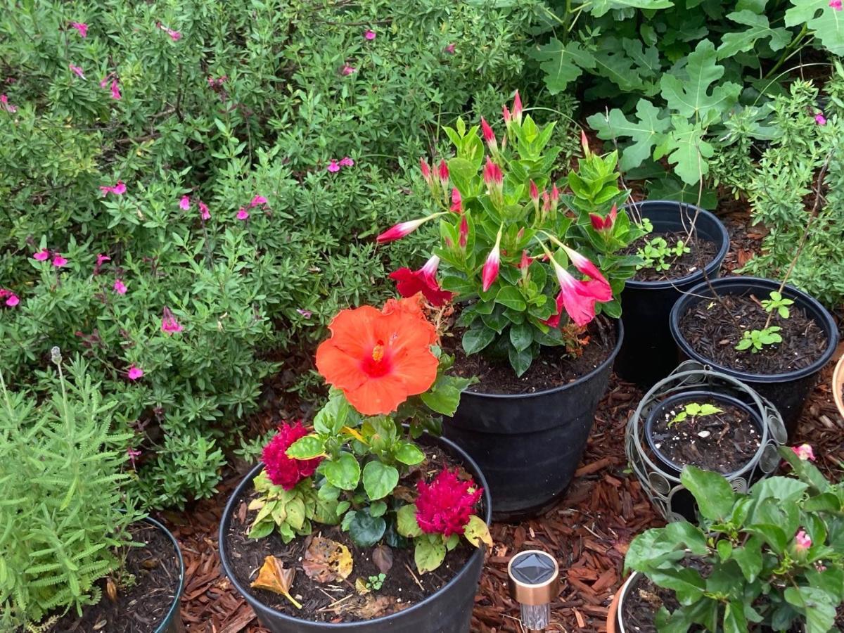 Gardens Bed and breakfast