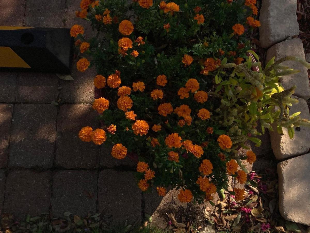 Bed and breakfast Gardens 2*