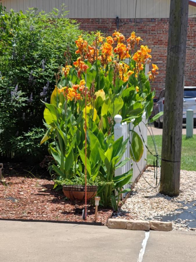 Bed & Breakfast Gardens
