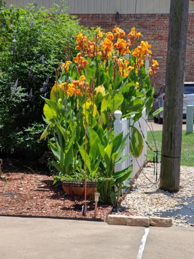 Couette-café Gardens Granbury
